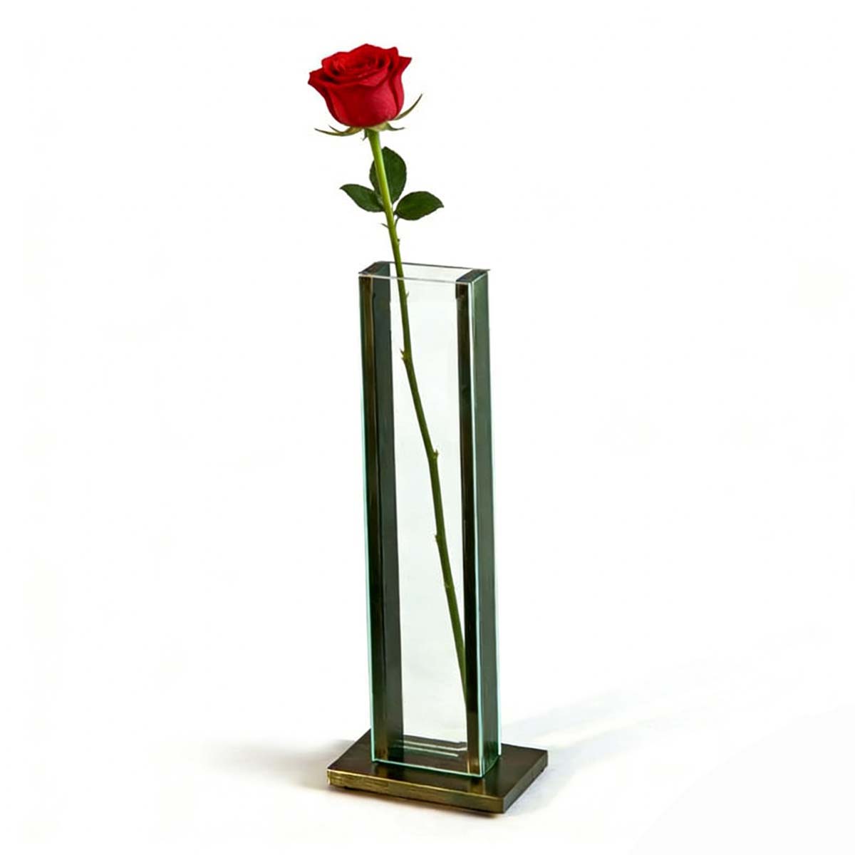 Acrylic Hydroponic Vase with Aluminum Frame